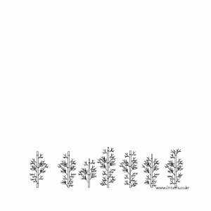 조경 대나무 입면 tfeba006