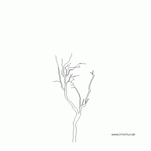 조경 나무입면 ttebc004