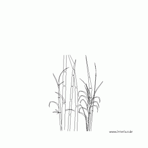 조경 대나무 입면 tfeba005