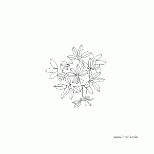 조경/나무 평면 tpd001