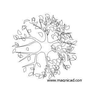 조경 나무 평면도 캐드소스 t-tpb021