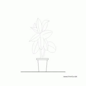 화분 입면 dpfla055