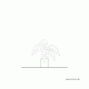 화분 입면 dpfla057