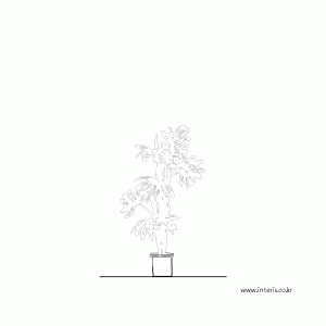 화분 입면 d-df-eb004