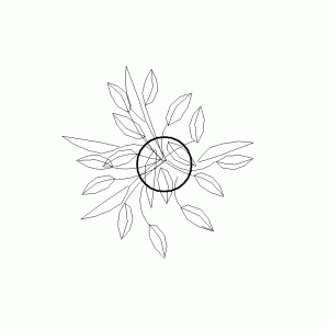 화분p006