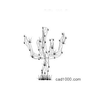 선인장 캐드 l-ted004.dwg