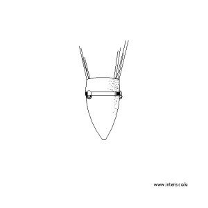 벽등/벽부등 입면도 l-wl-ea071