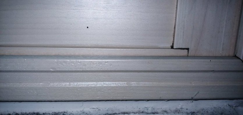 17000639741581.jpg
