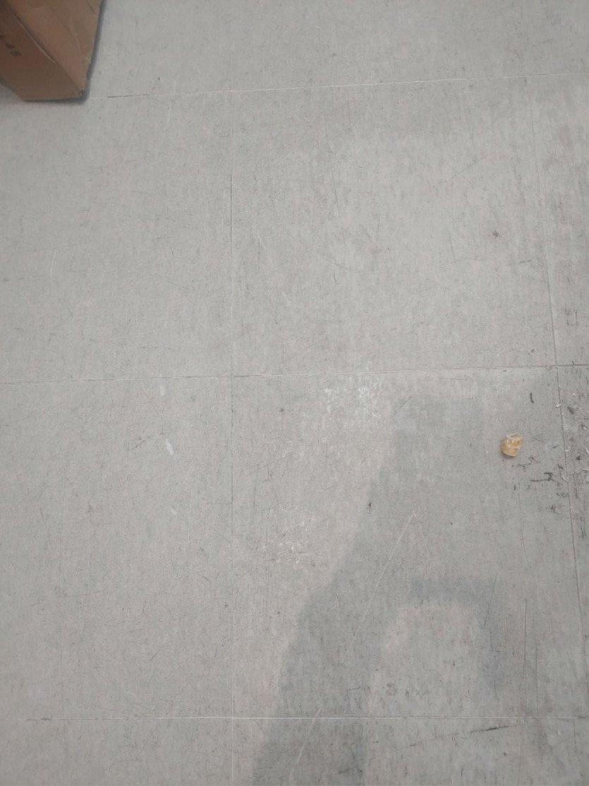 17588129080973.jpg