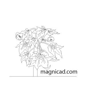 조경/식물/화초cad dwg t-fea125